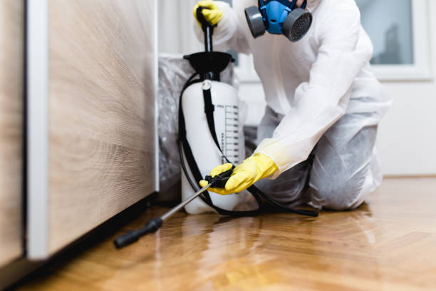 Best Ant Control Services  in Mineral Point, WI