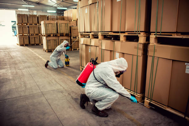 Best Cockroach Control Services  in Mineral Point, WI