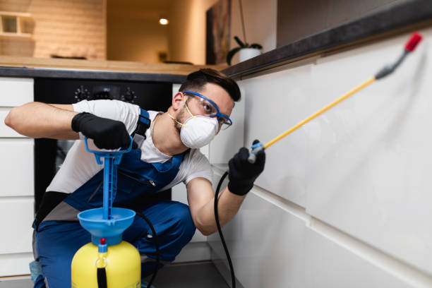 Best Residential Pest Control  in Mineral Point, WI