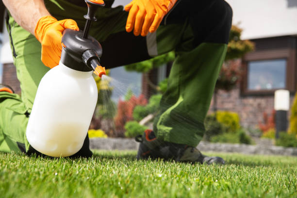 Best Affordable Pest Control Services  in Mineral Point, WI