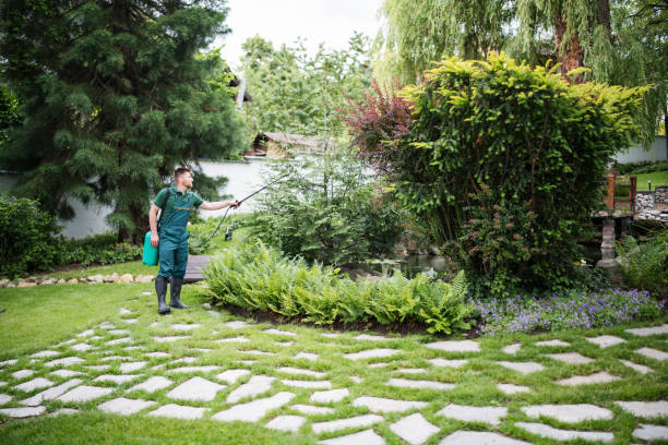 Best Affordable Pest Control Services  in Mineral Point, WI