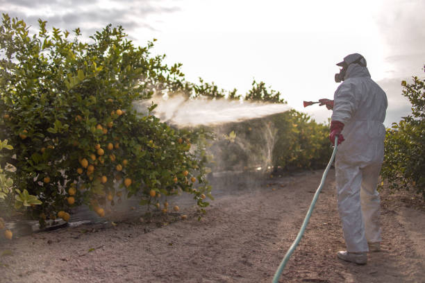 Best Best Pest Control Companies  in Mineral Point, WI