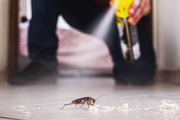 Best Mosquito Control Services  in Mineral Point, WI