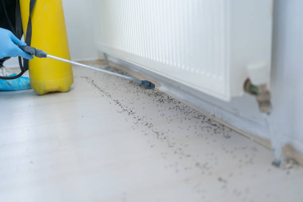 Best Pest Removal Services  in Mineral Point, WI