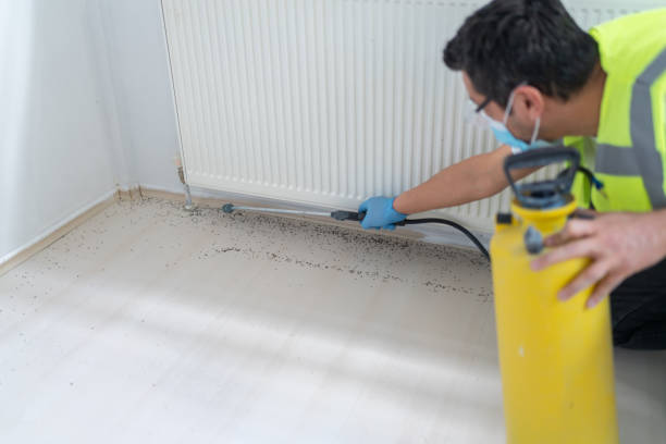 Best Mosquito Control Services  in Mineral Point, WI