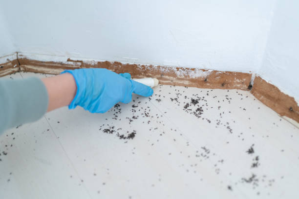 Best Emergency Pest Control  in Mineral Point, WI